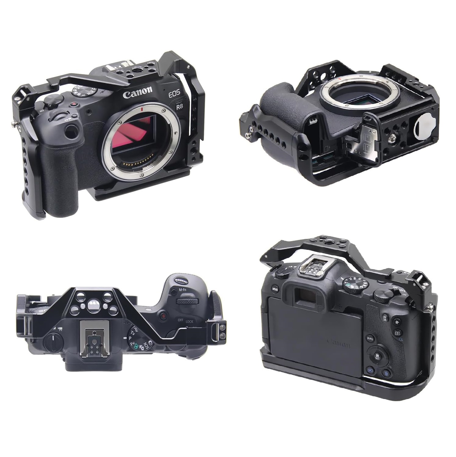 Gabbia per fotocamera con tela - Canon Camera Eos R8 recensione e prezzo